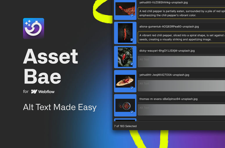 Streamline asset management with Asset Bae, a powerful Webflow app. Edit filenames & alt text in bulk and utilize AI technology for efficient workflow. Improve accessibility & save time with centralized management. Perfect for Webflow designers & developers.