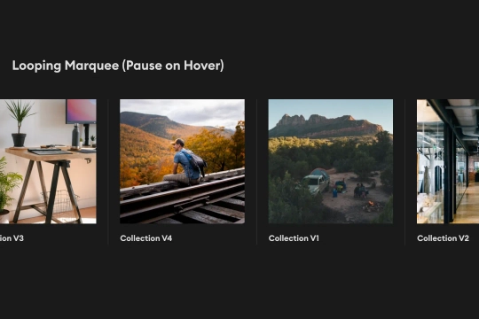 Looping CMS CSS Marquee with Pause on Hover Webflow cloneable