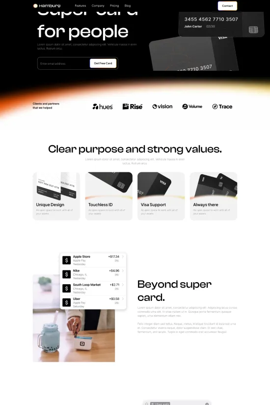 Professional Black and White Accounting Webflow website template