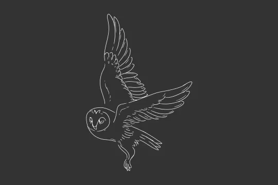 GSAP SVG stroke animation Webflow cloneable