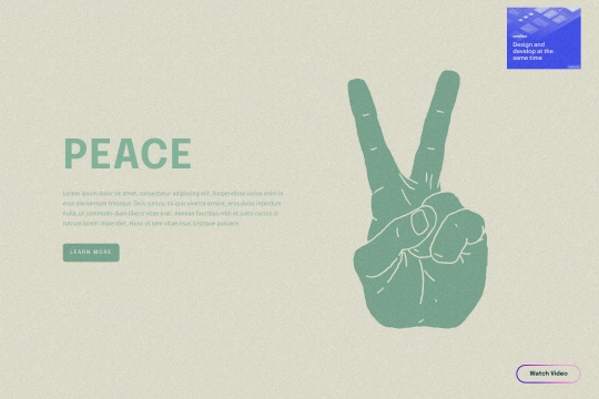Grain Effect Webflow cloneable