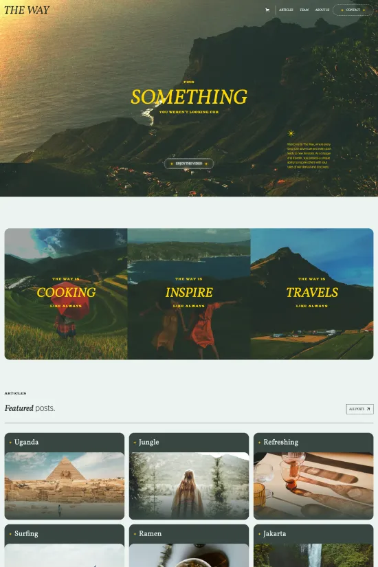 Adventure Gold Sleek Webflow website template